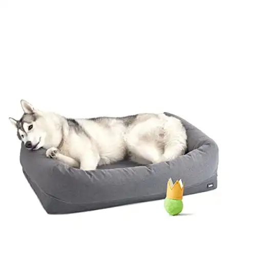 Barkbox Memory Foam Dog Bed with High Density Foam Base for Orthopedic Joint Relief - Crate Lounger, Dog Couch or Sofa Pet Bed - Machine Washable Cover and Water-Resistant Lining - Toy Included